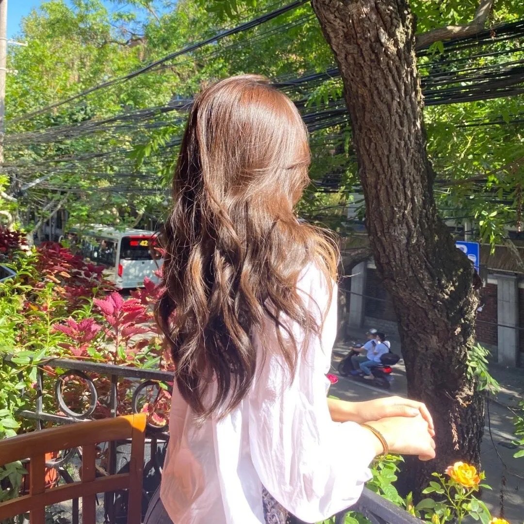 风飞鲨6